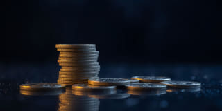 Claridad informativa sobre la plataforma dentro del entorno de trading de Bosque Bitencia